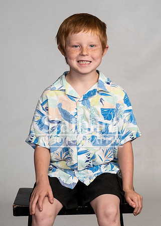 9294